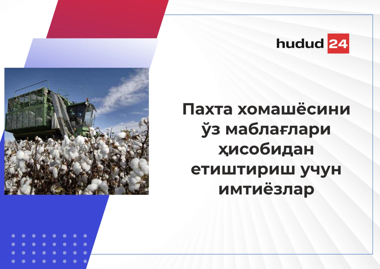 Пахта хомашёсини ўз маблағлари ҳисобидан етиштирганларга белгиланган миқдорда субсидия ажратилади