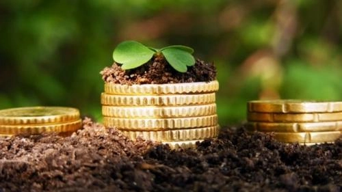 Ер солиғи ставкаси қандай аниқланади?