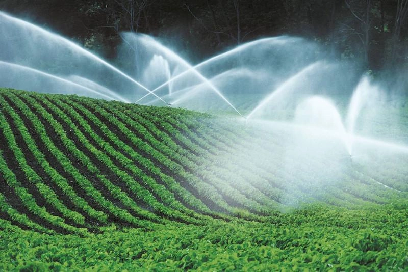 Сув объектларидан қишлоқ хўжалиги эҳтиёжлари учун фойдаланиш бўйича муҳим маълумот