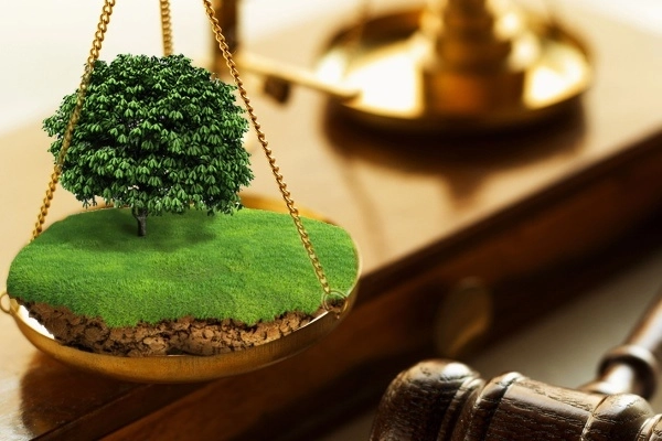 Яйлов ерларида ўзбошимчалик билан иморат қуриш оқибатлари