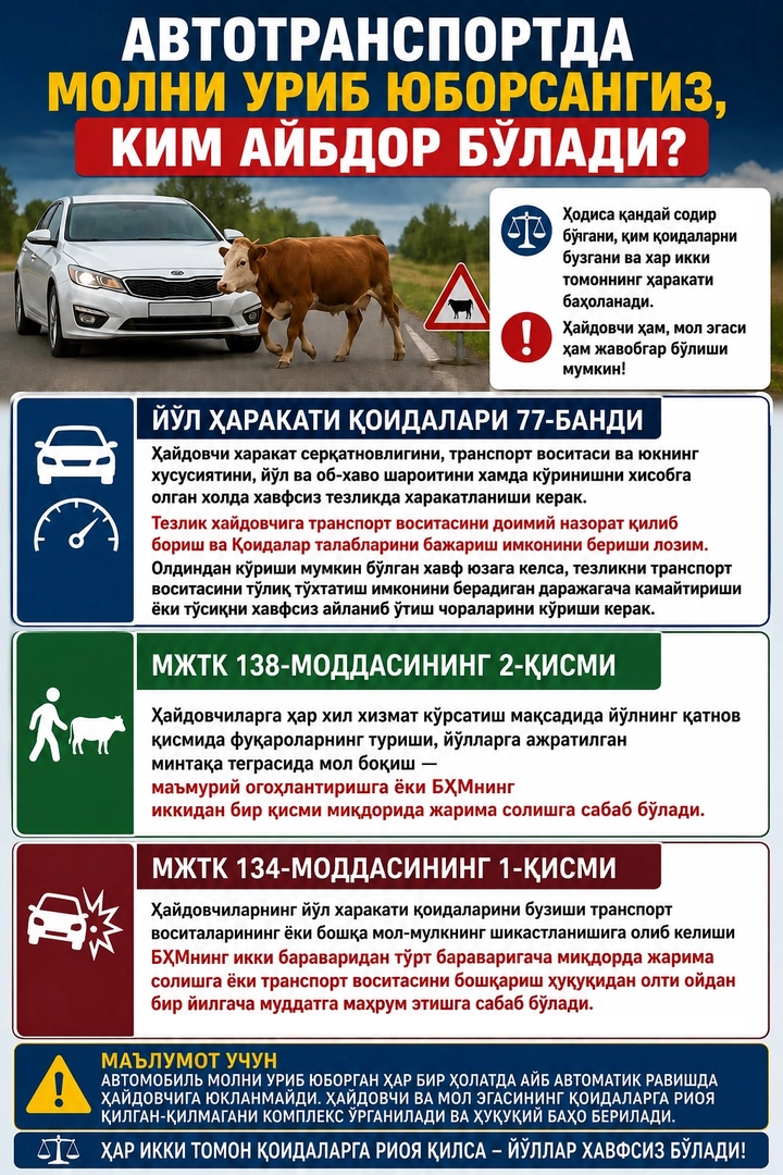 Авторанспортда молни уриб юборсангиз, ким айбдор бўлади?