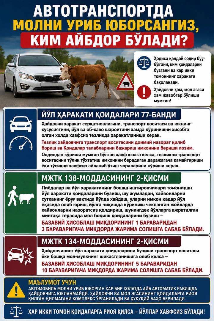 Авторанспортда молни уриб юборсангиз, ким айбдор бўлади?