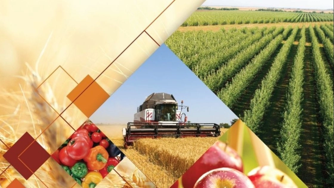 “Agrotarozi” ахборот тизими  электрон тарозиларнинг шаффофлик тамойилини таъминлаб беради