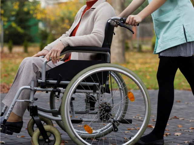 Ногиронлиги бўлган шахсларни ҳимоялаш