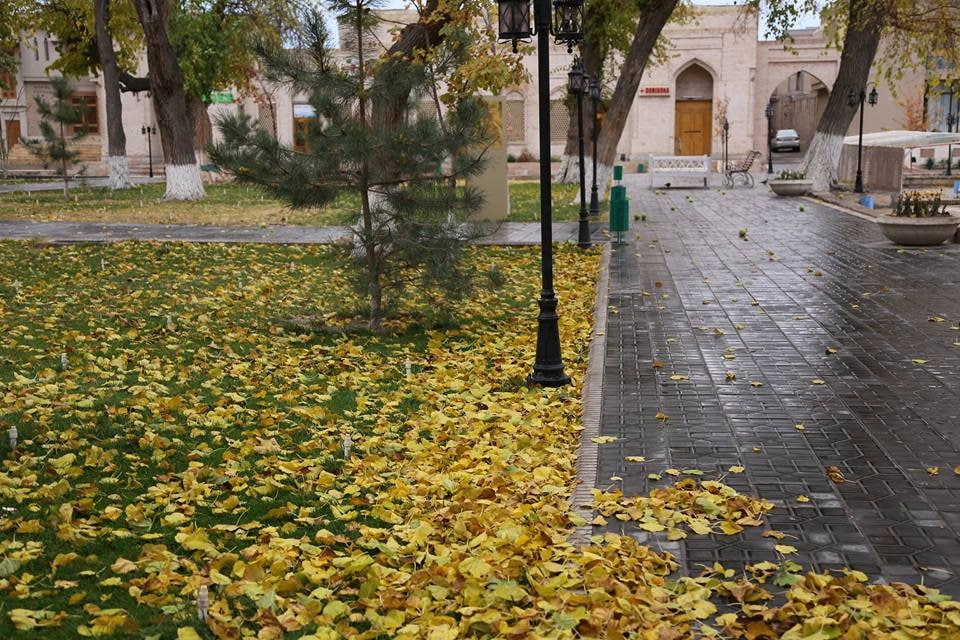 Дам олиш кунлари Ўзбекистон бўйлаб қандай об-ҳаво кузатилади?