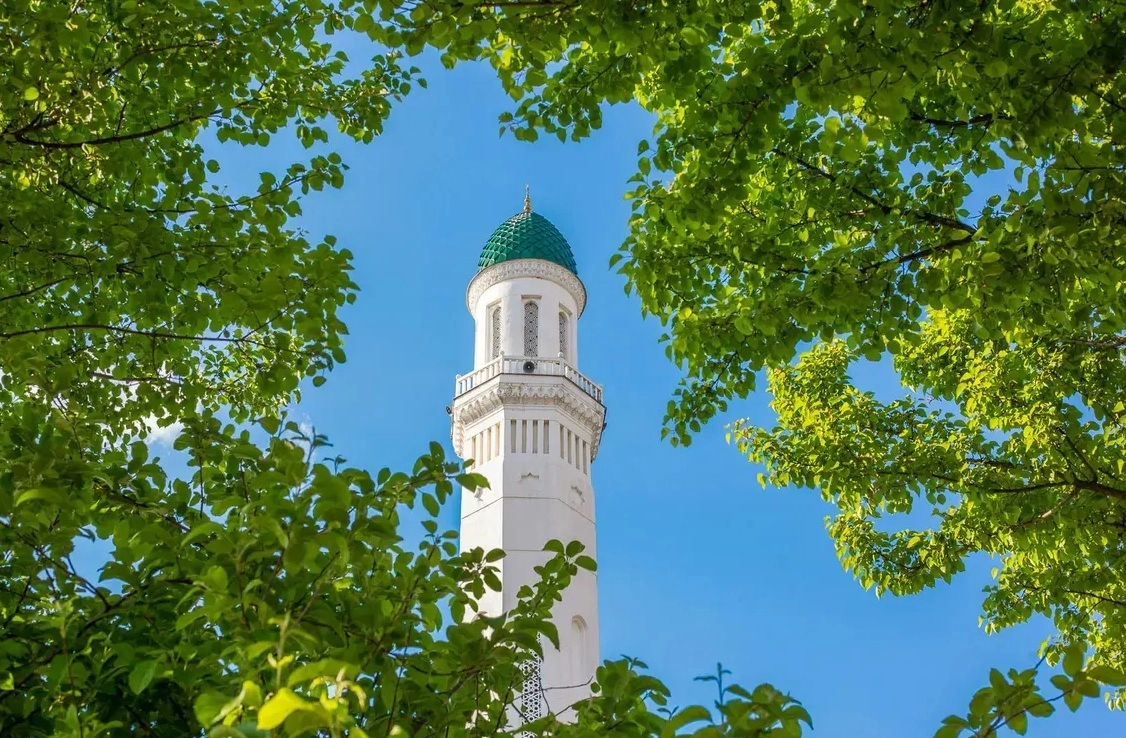 Дафн этиш ишларини рўйхатга олиш рақамлаштирилади