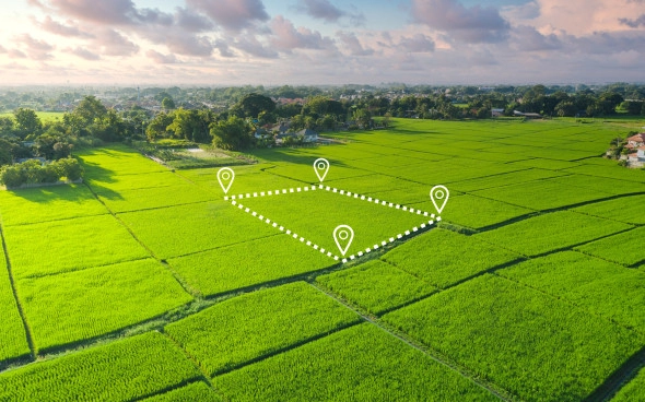 Ижарага олинган ер участкаси ижара муддатини чўзиш тартиби қандай?