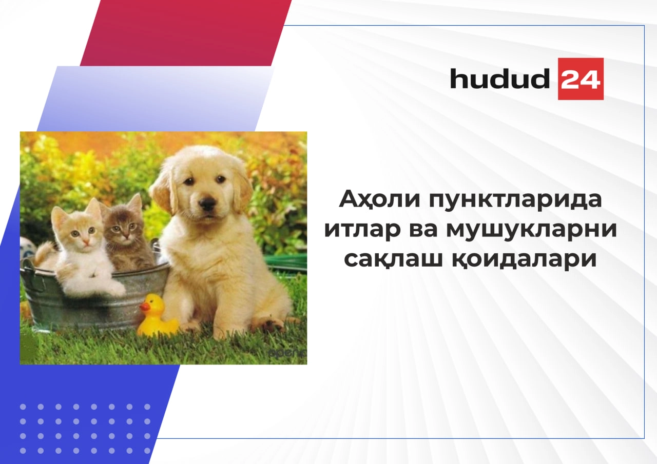 Аҳоли пунктларида итлар ва мушукларни сақлаш қоидалари қандай?