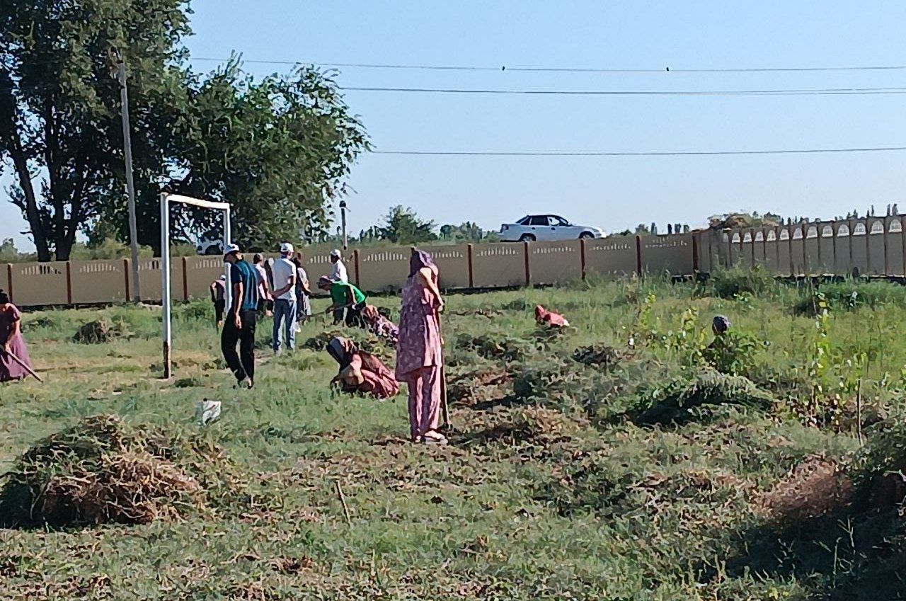 Хоразмда ўқитувчиларни мактабни тозалашга жалб қилган директорга чора кўрилди